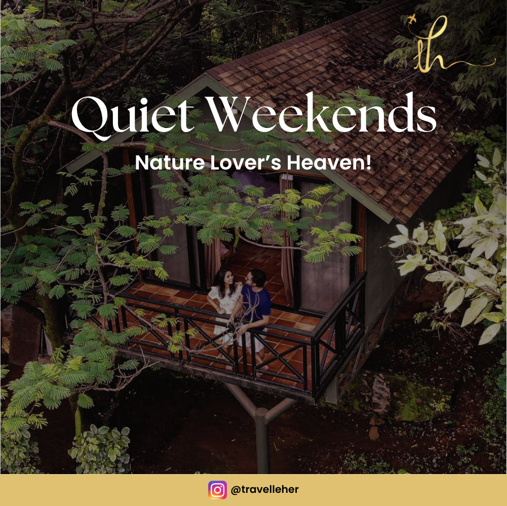 Tree Top Nest – Premium Weekend Getaway